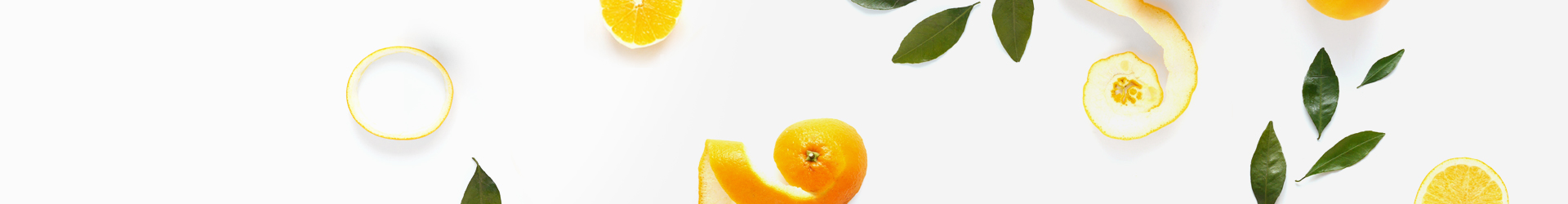 Zdjęcie w nagłówku strony